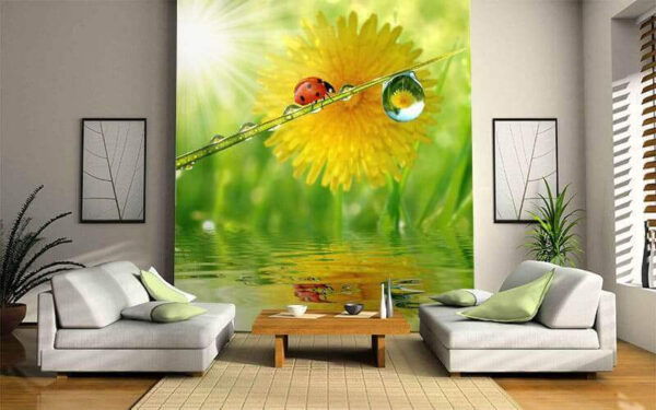 Lieveheersbeestje op een grasspriet met waterdruppels Lieveheersbeestje op een grasspriet met waterdruppels