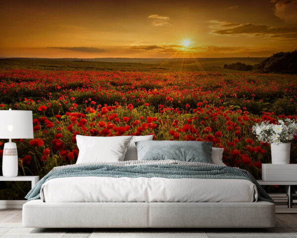 Veld met rode bloemen Veld met rode bloemen
