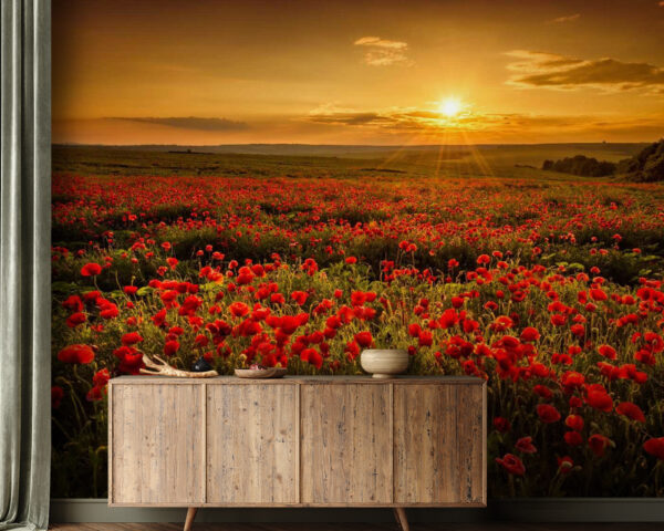 Veld met rode bloemen Veld met rode bloemen