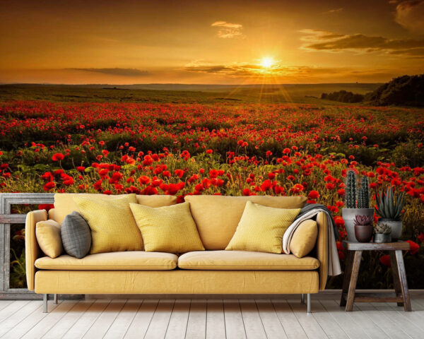 Veld met rode bloemen Veld met rode bloemen