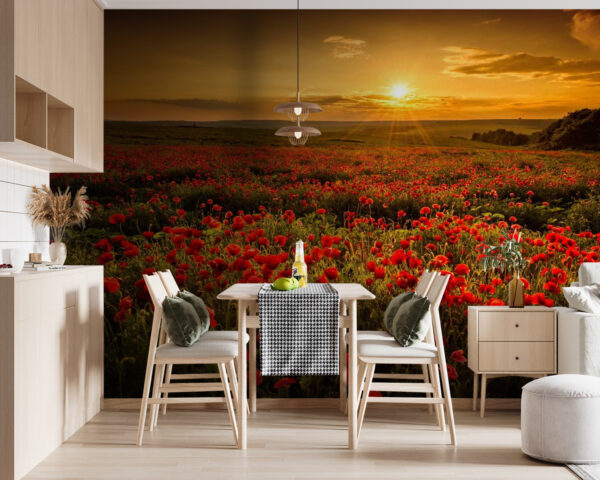 Veld met rode bloemen Veld met rode bloemen