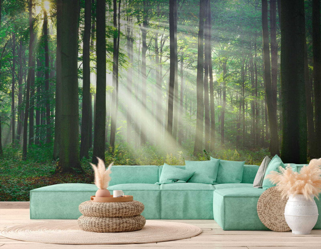 Sunlight shining through trees Sunlight shining through trees