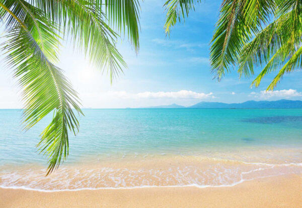 Strand met palmbomen en blauw water Strand met palmbomen en blauw water