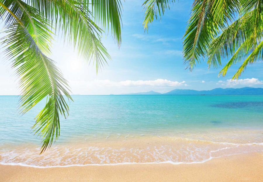 Strand met palmbomen en blauw water