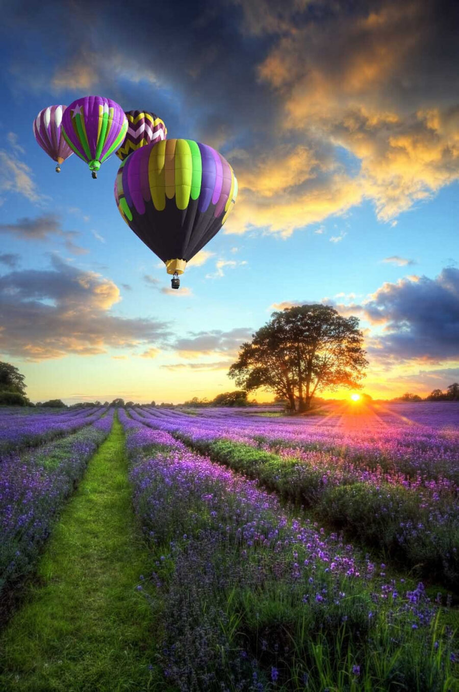 Groep heteluchtballonnen vliegend over een veld met bloemen