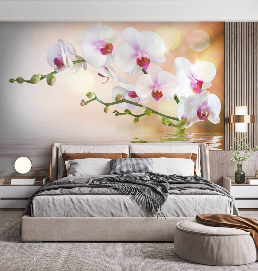 Witte orchideeën op een tak met waterribbels
