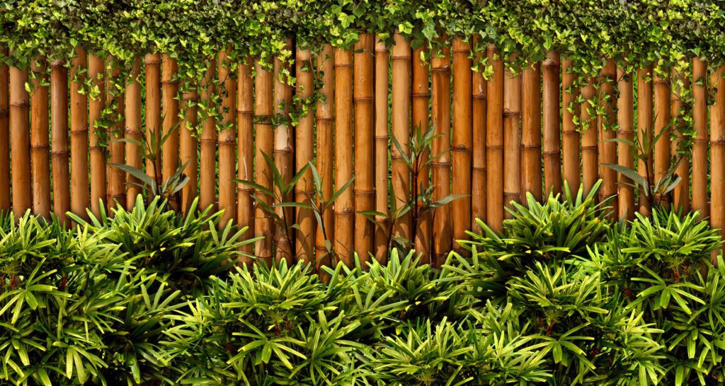 Bamboe hek met planten Bamboe hek met planten