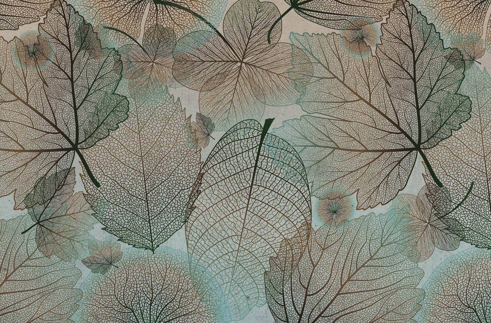 Natuurlijke patronen in delicaat gebladerte u60549p - Natuurlijke patronen in delicaat gebladerte - tegory