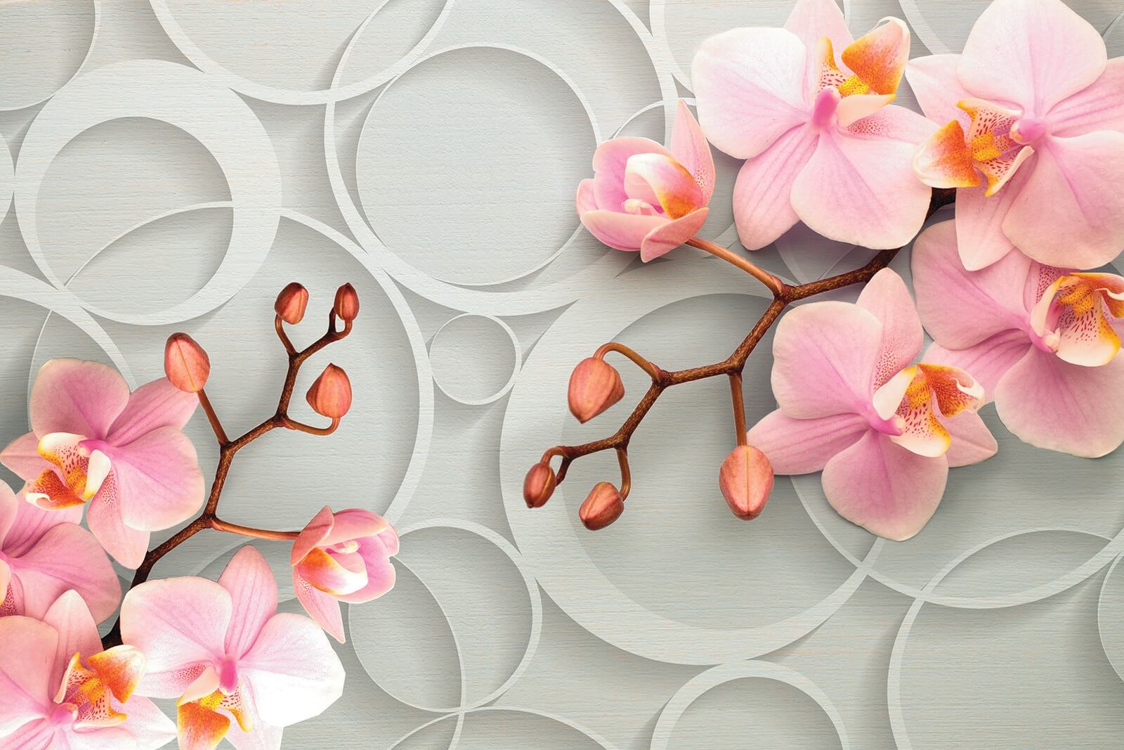 u66595p - Delicate bloemen op een zachte achtergrond - tegory