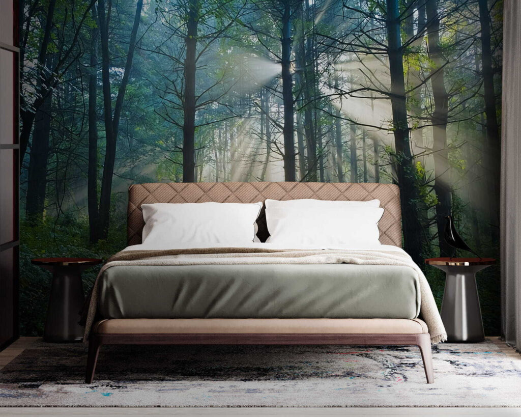 Zon schijnt door bomen in een bos u70959pib1m 1024x819 - Zon schijnt door bomen in een bos - tegory