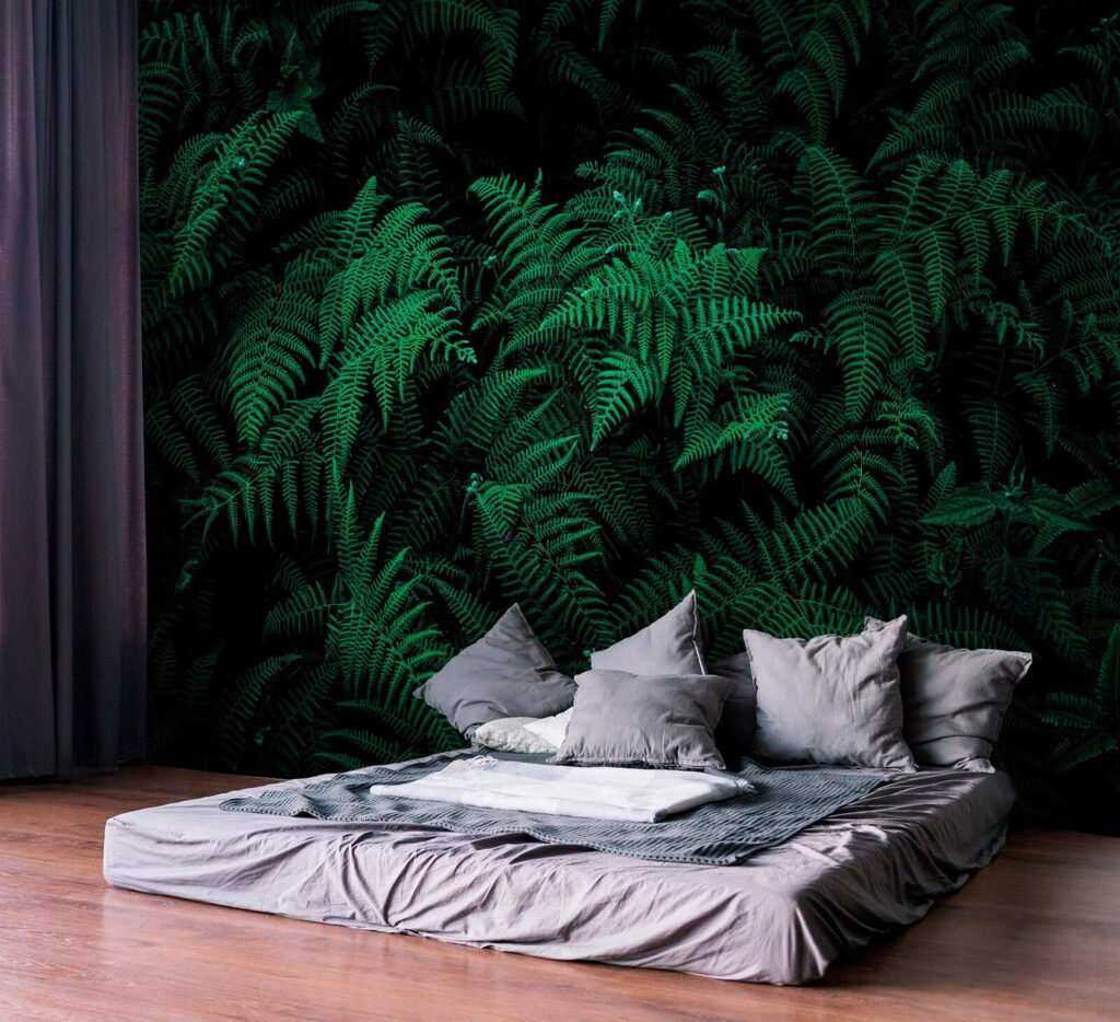 Lush ferns in deep green hues Lush ferns in deep green hues