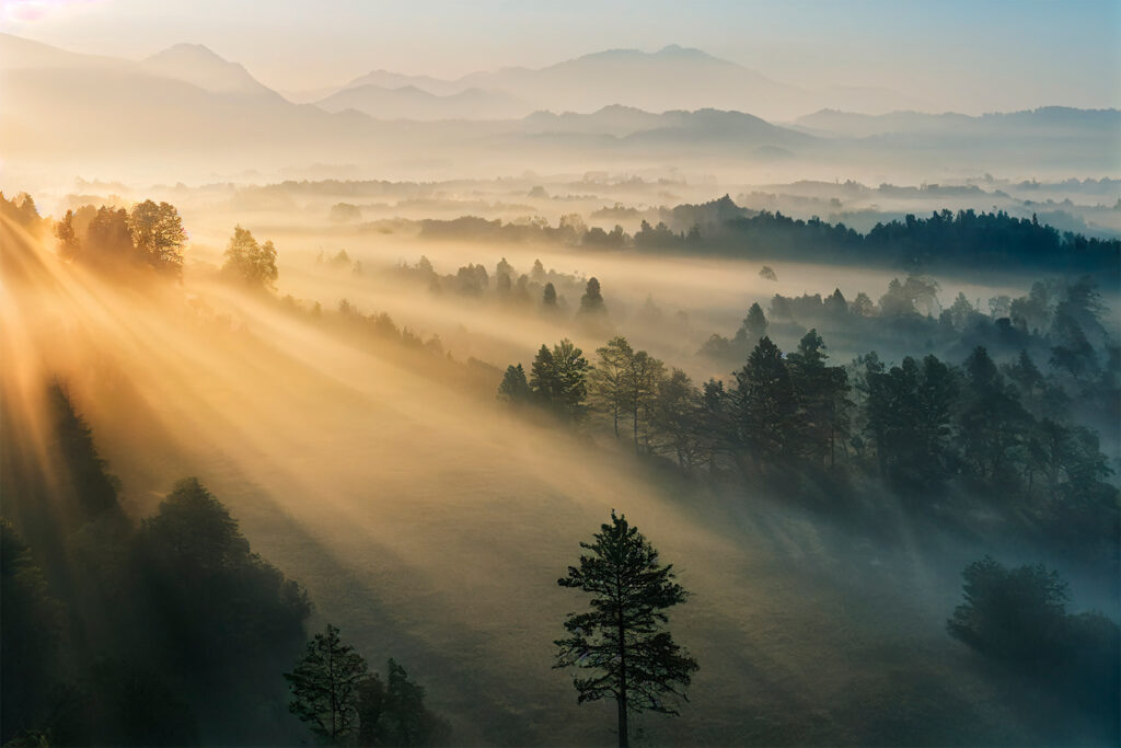 Zon schijnt door de bomen Zon schijnt door de bomen