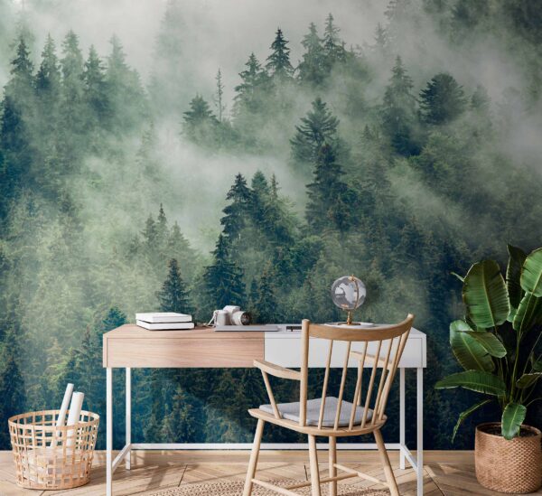 Bos van bomen met mist Bos van bomen met mist