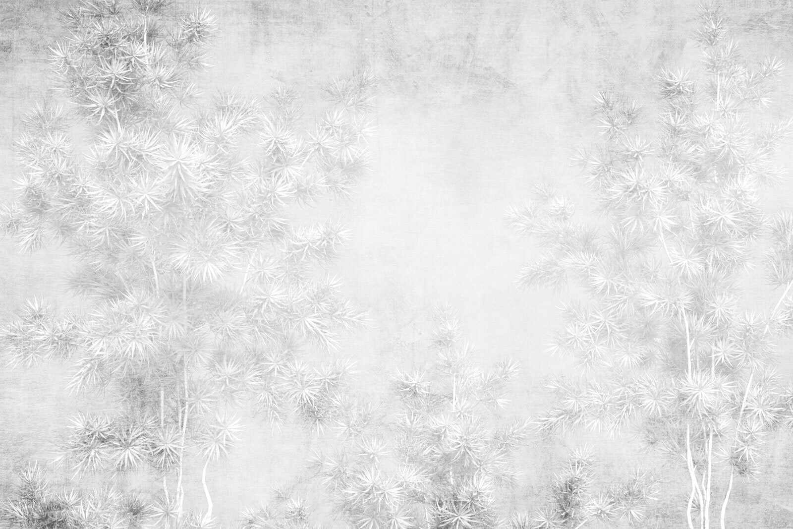 Witte achtergrond met bomen u73978p - Witte achtergrond met bomen - tegory