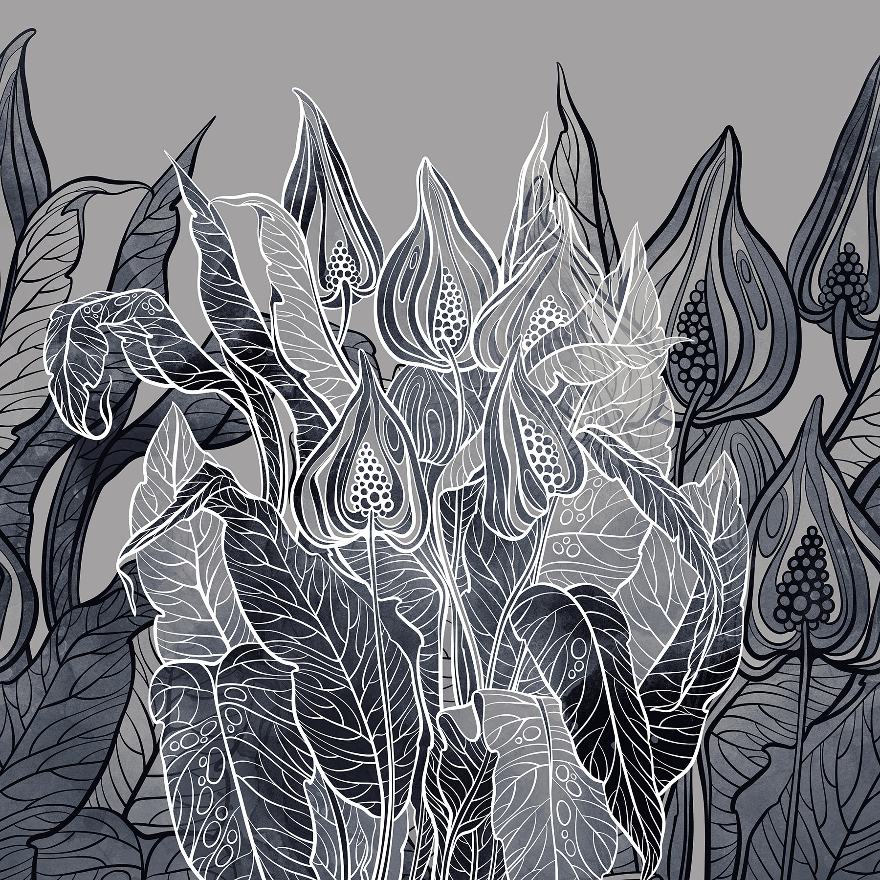 Delicate lijnen in de omarming van de natuur’s u74167p - Delicate lijnen in de omarming van de natuur’s - tegory