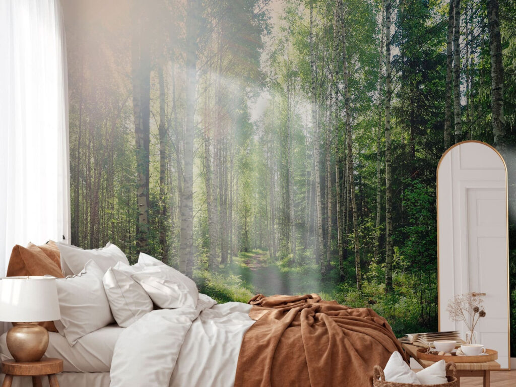 Path through a forest of trees Path through a forest of trees