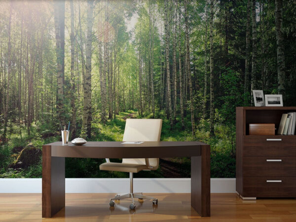 Pad door een bos van bomen Fotobehang Pad door een bos van bomen