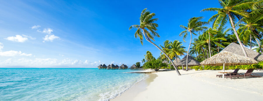 Strand met palmbomen en hutjes