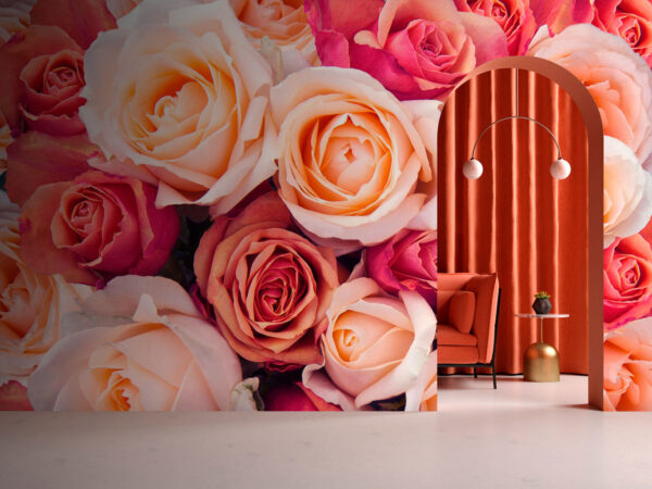Groep roze en witte rozen Groep roze en witte rozen