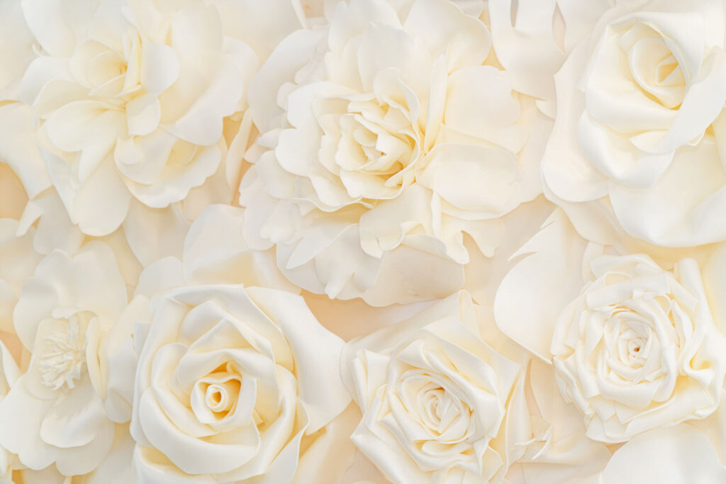 Groep witte bloemen Groep witte bloemen