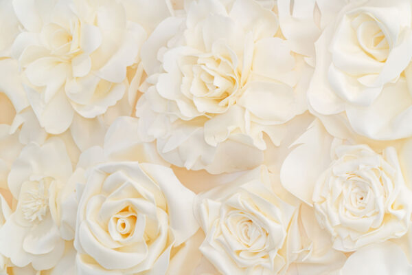 Groep witte bloemen Groep witte bloemen