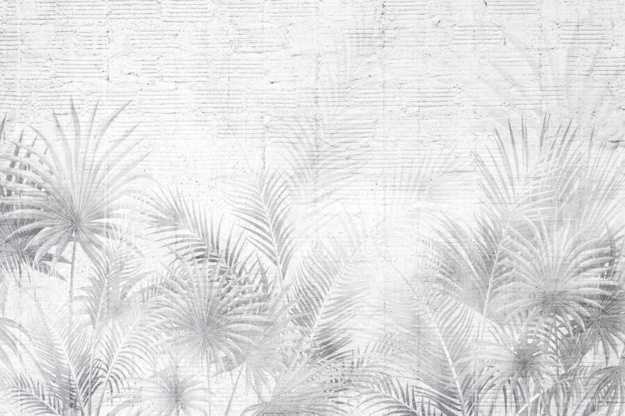 Witte en grijze achtergrond met palmbladeren Witte en grijze achtergrond met palmbladeren