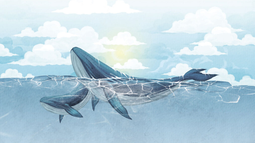 Walvis zwemmend in het water Walvis zwemmend in het water