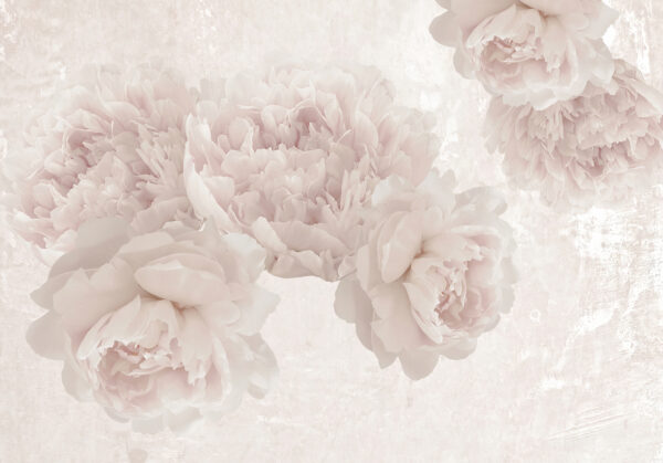 Groep witte bloemen Groep witte bloemen