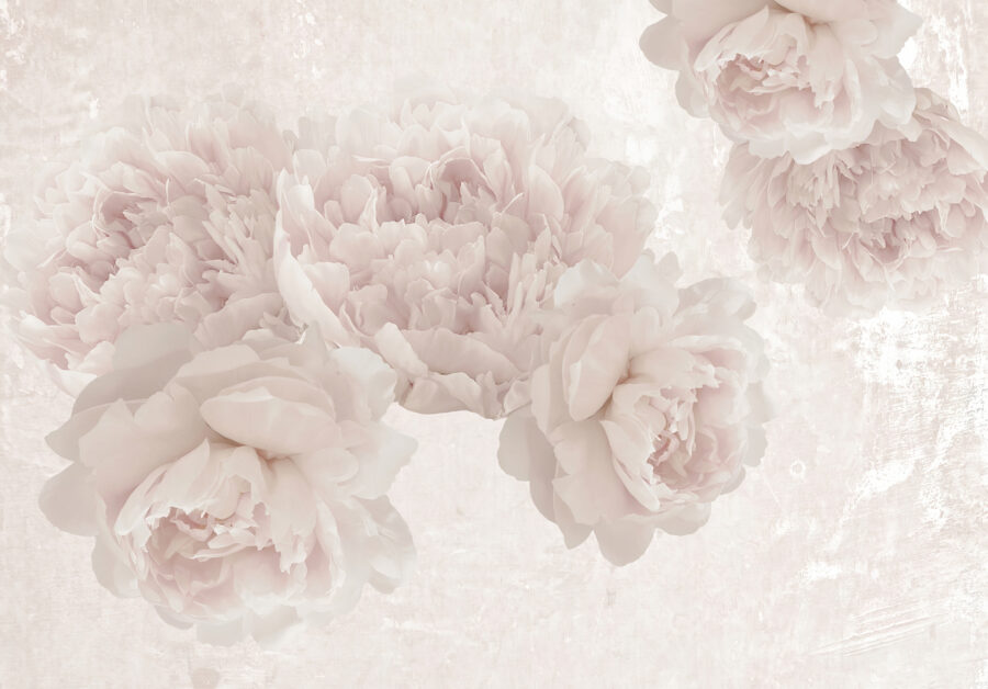 Groep witte bloemen Groep witte bloemen