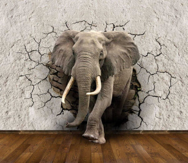 Een olifant die door een muur komt Een olifant die door een muur komt