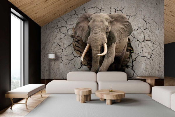 Een olifant die door een muur komt Een olifant die door een muur komt