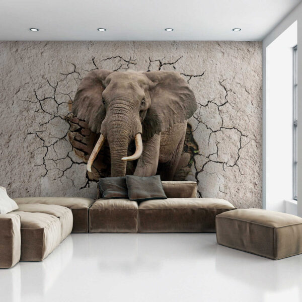 Een olifant die door een muur komt Een olifant die door een muur komt
