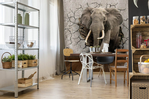 Een olifant die door een muur komt Een olifant die door een muur komt