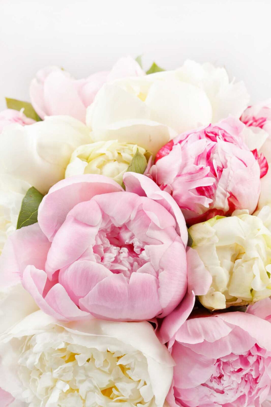 Boeket van roze en witte bloemen