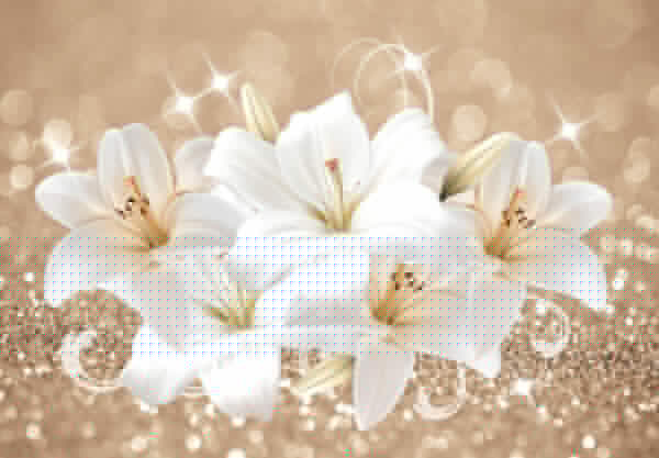 Groep witte bloemen Groep witte bloemen