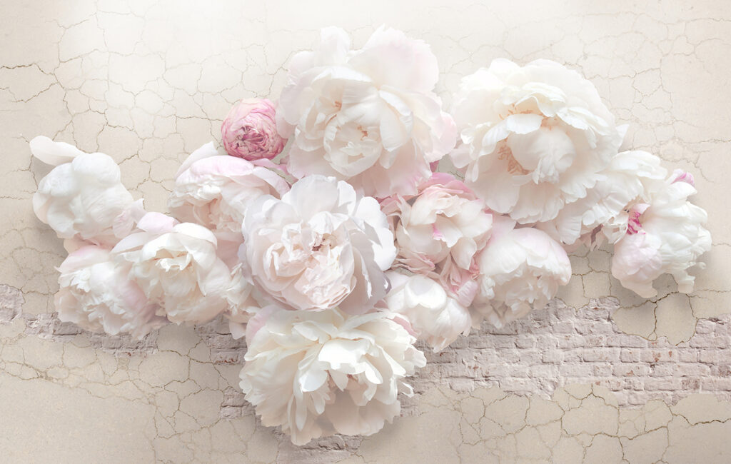 Groep witte bloemen Groep witte bloemen
