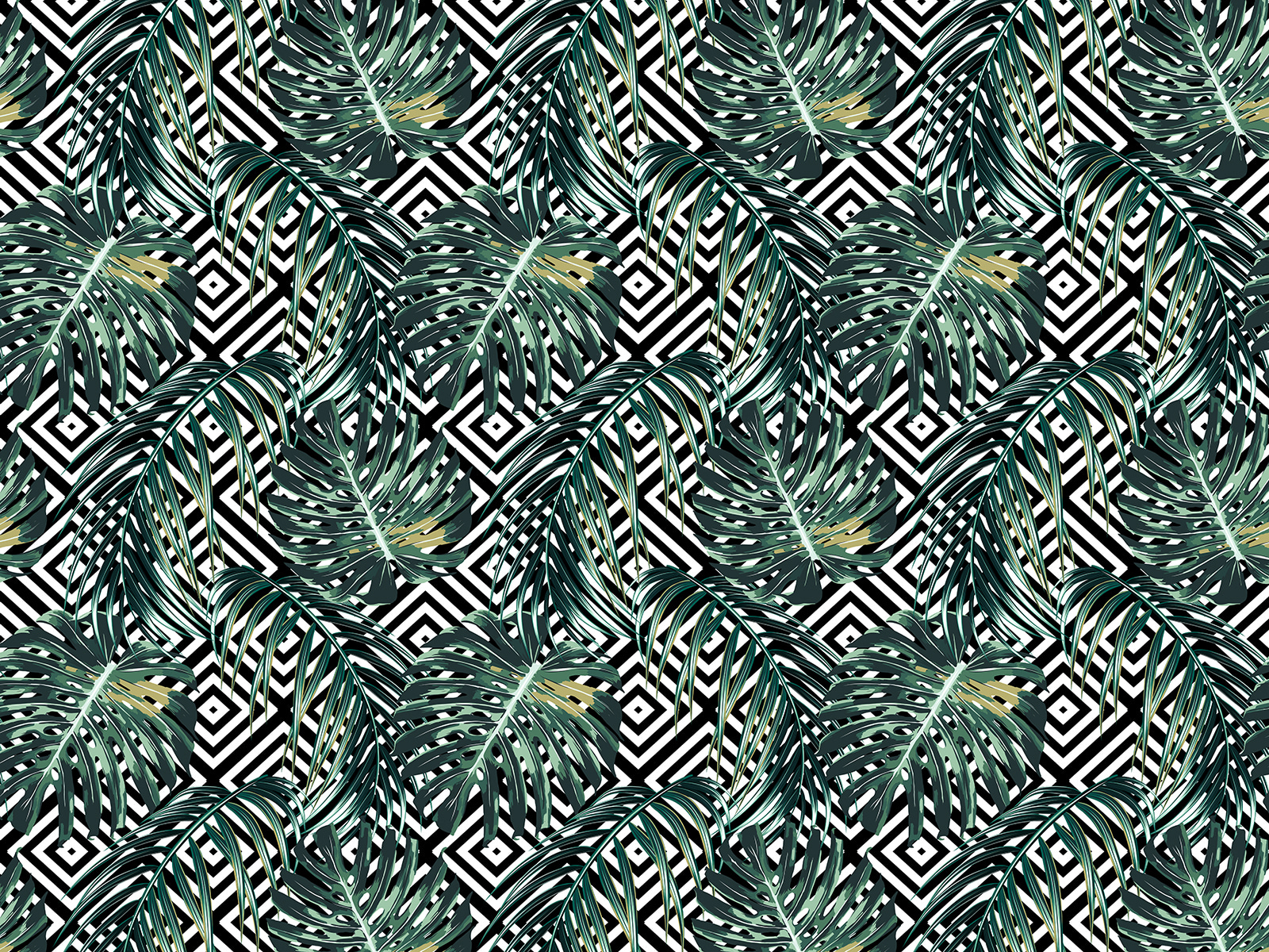 Bladerenpatroon op zwart-witte achtergrond u79688p - Bladerenpatroon op zwart-witte achtergrond - tegory