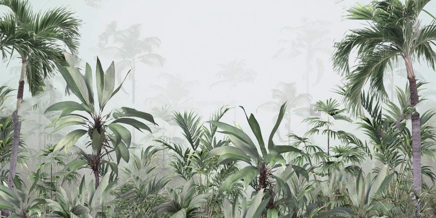 Group of plants in a foggy forest Group of plants in a foggy forest