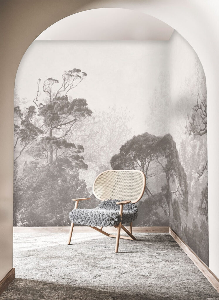 Group of trees in fog Group of trees in fog