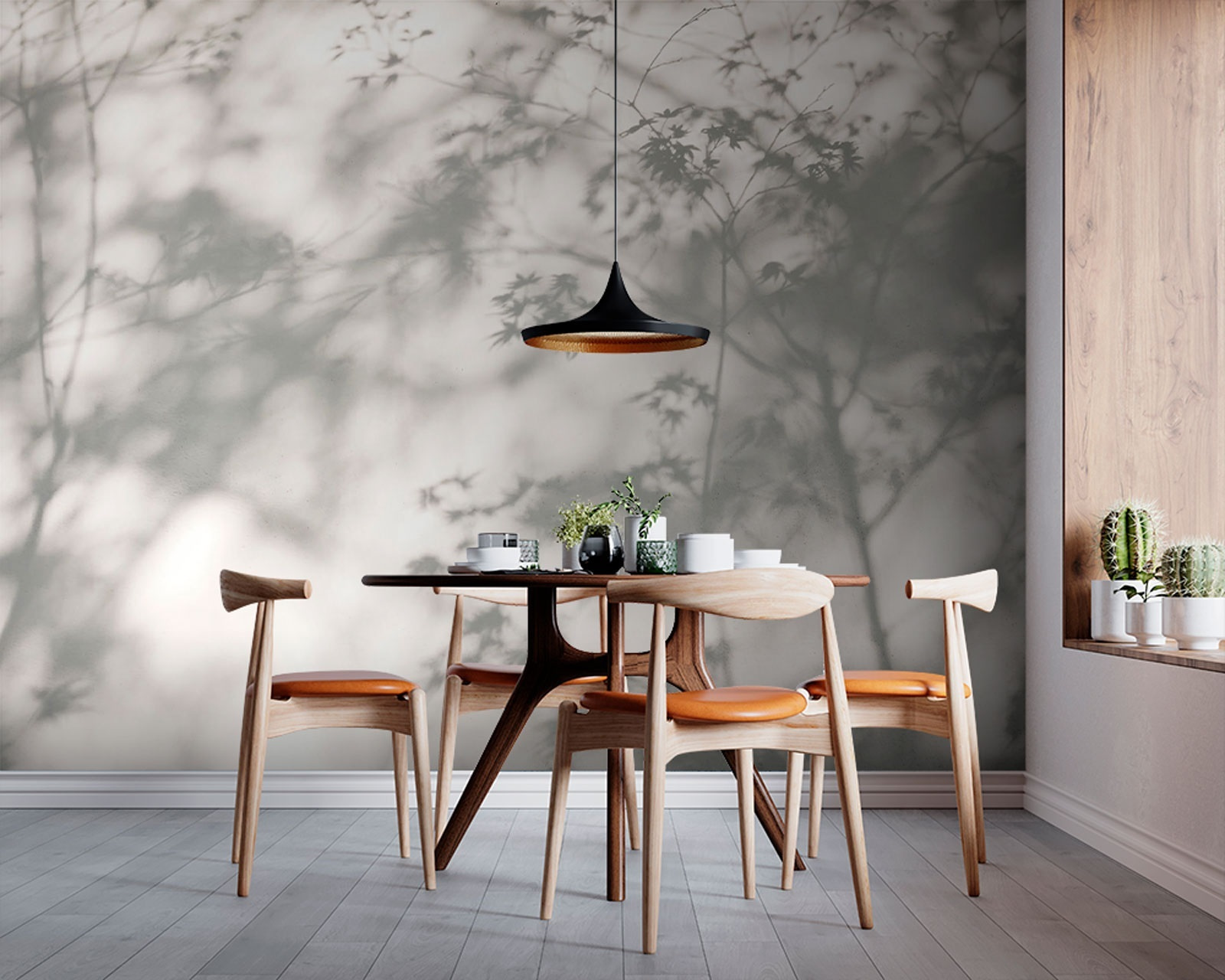 Shadows leaves on a wall Shadows leaves on a wall