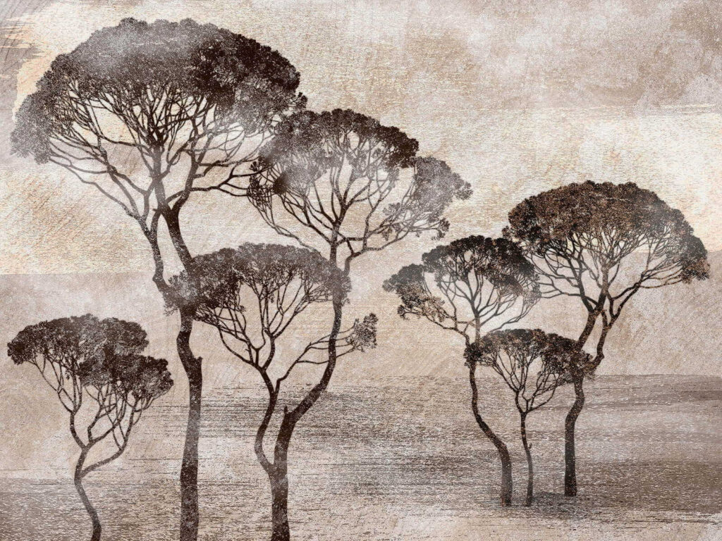 Groep bomen in een veld Groep bomen in een veld