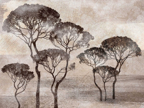 Groep bomen in een veld Groep bomen in een veld