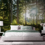 Fotobehang Zon schijnt door bomen