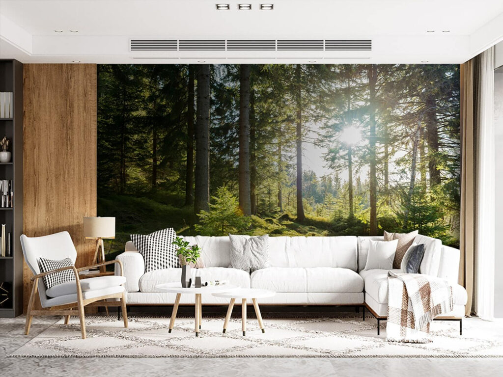 Sun shining through trees Sun shining through trees