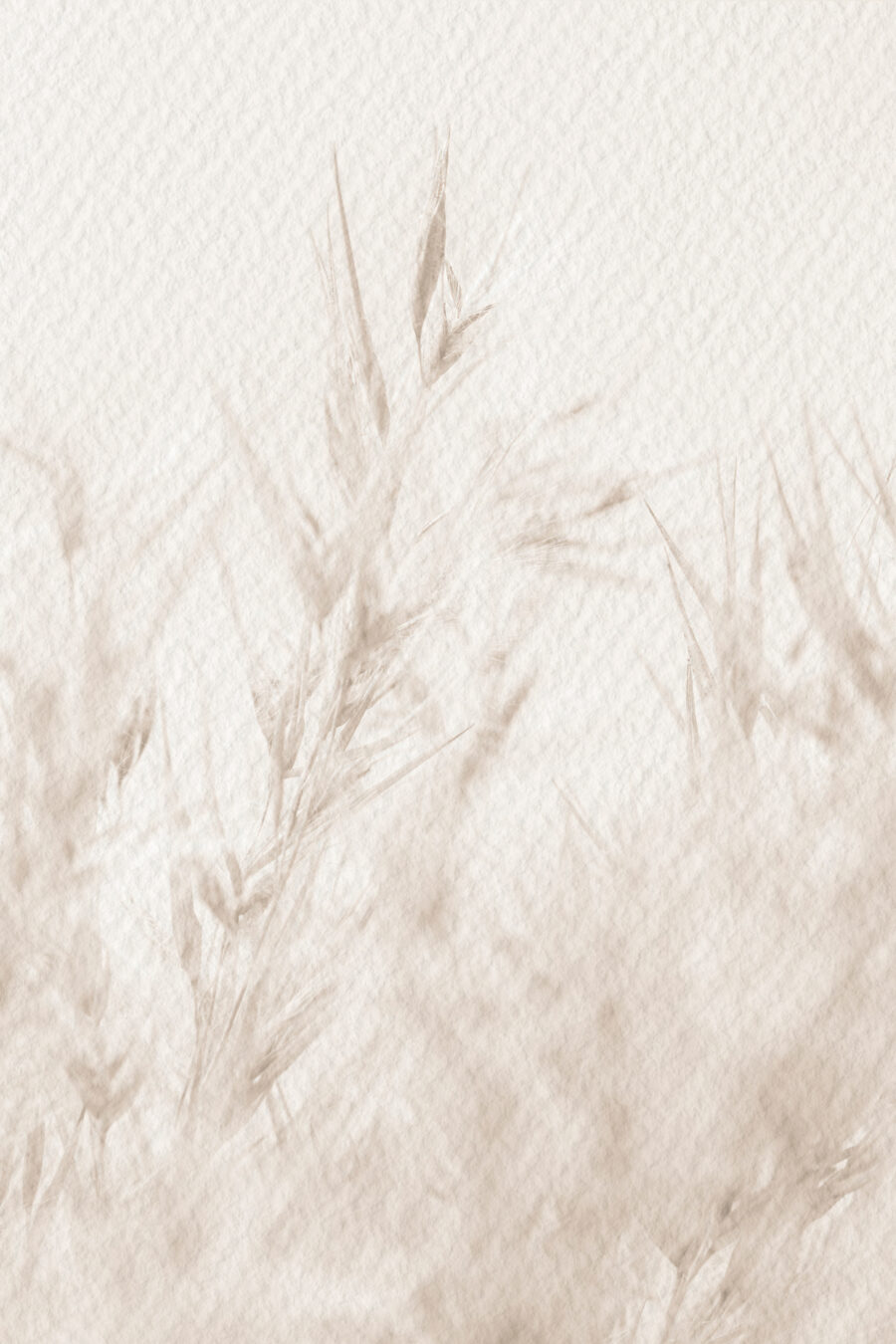 Soft nature in neutral tones Soft nature in neutral tones