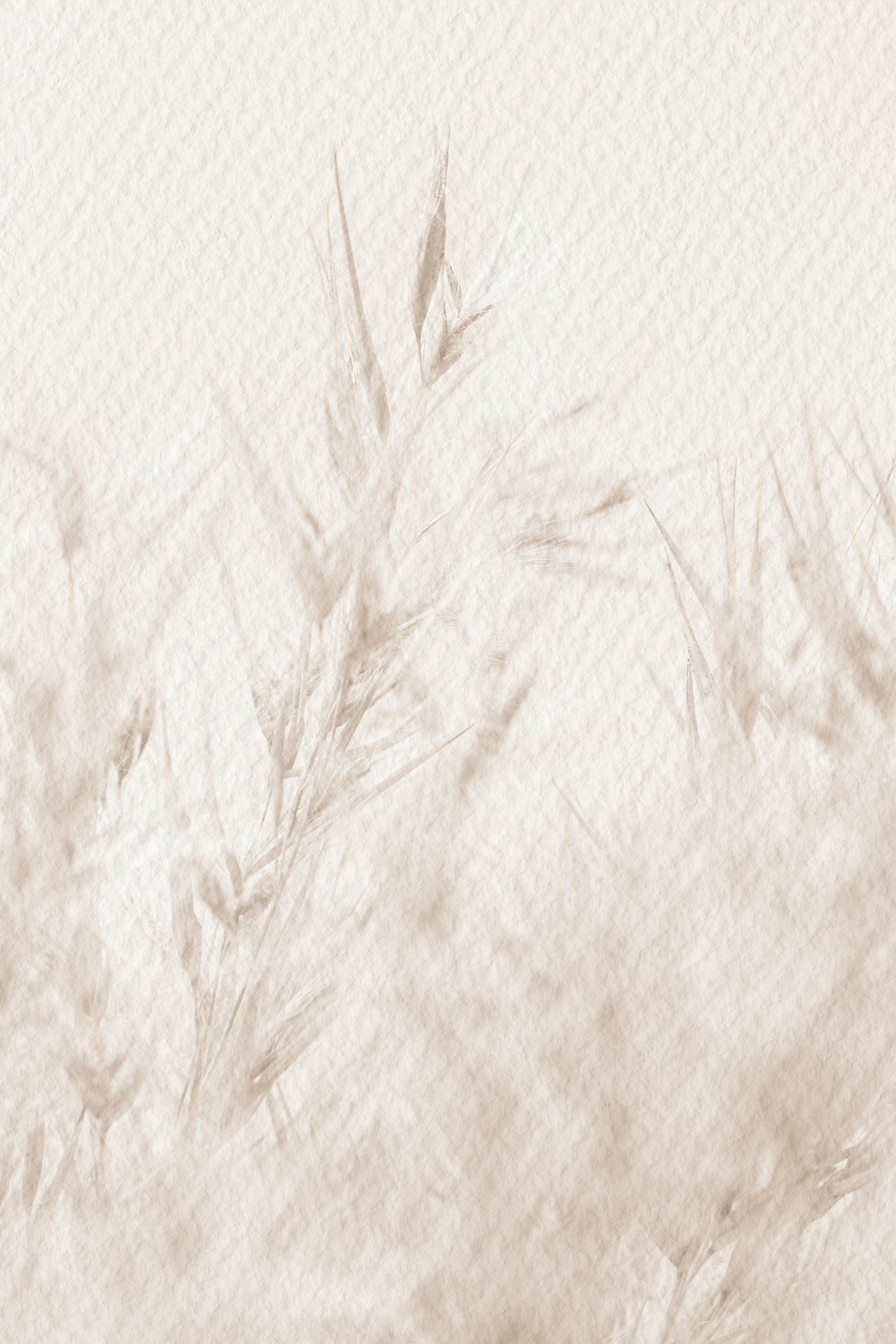 Soft nature in neutral tones