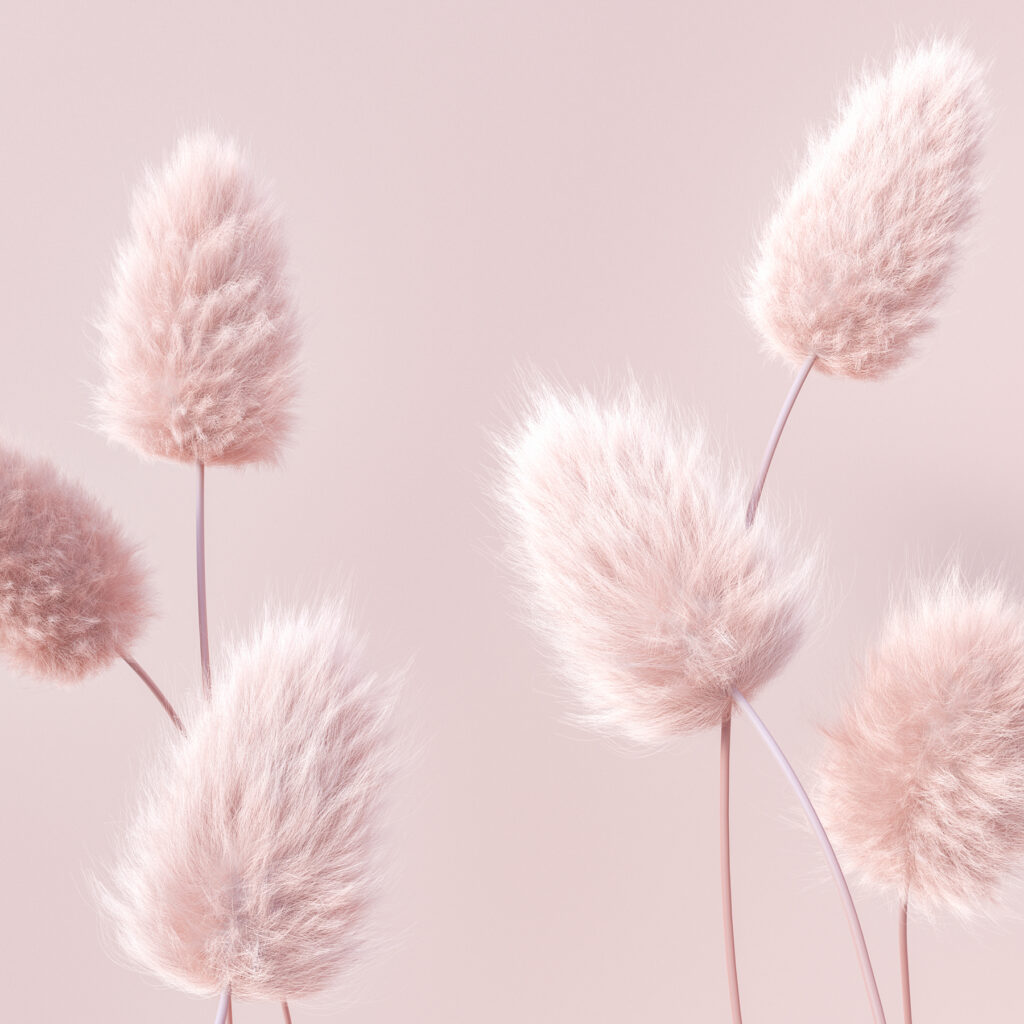 Een groep pluizige roze bloemen Een groep pluizige roze bloemen
