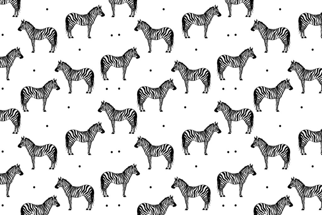 Een patroon van zebra's op een witte achtergrond u98193p 1024x683 - Een patroon van zebra's op een witte achtergrond
