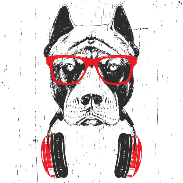 Een hond met bril en koptelefoon Een hond met bril en koptelefoon