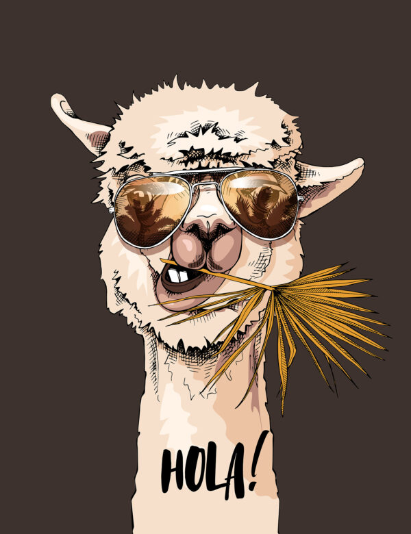 Een lama die een zonnebril draagt en een blad eet Een lama die een zonnebril draagt en een blad eet